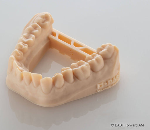 Résine dentaire Ultracur3D® DM 2505 Dental Model - 1kg BASF