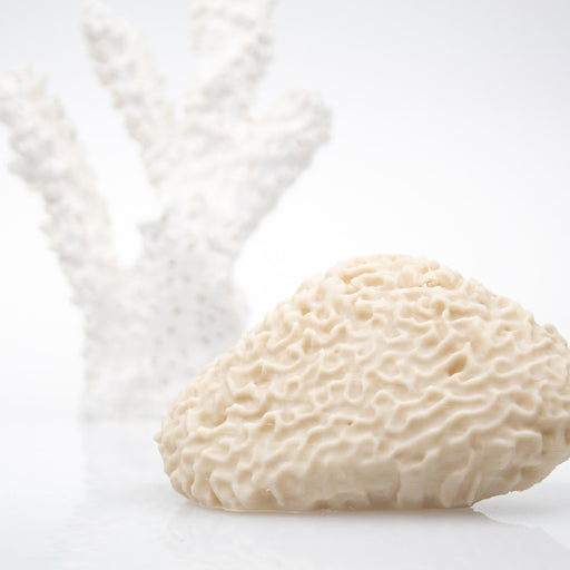 Filament biodegradable allPHA 100% biobased 2.85 mm- Naturel 750g Colorfabb